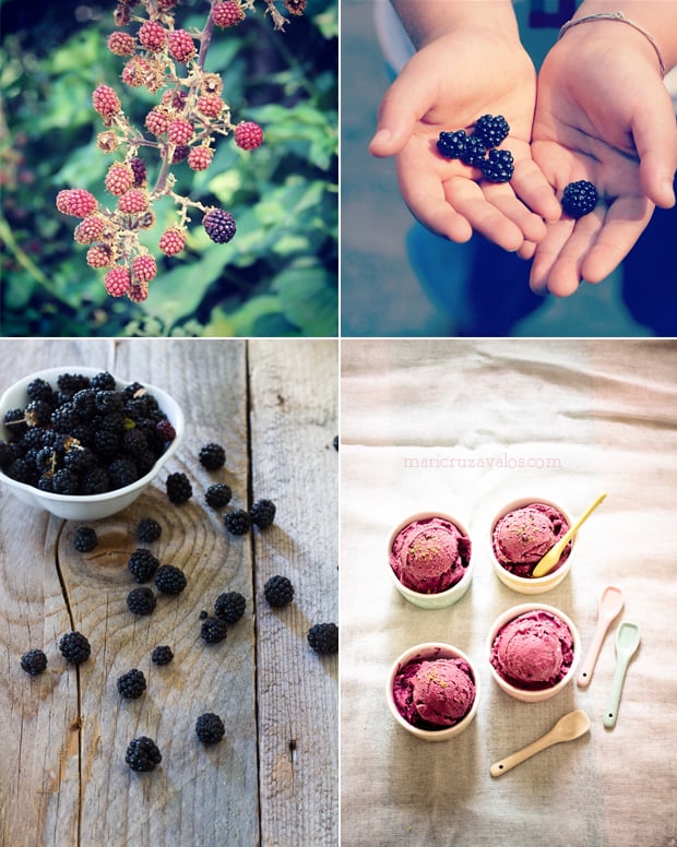 blackberries gelato