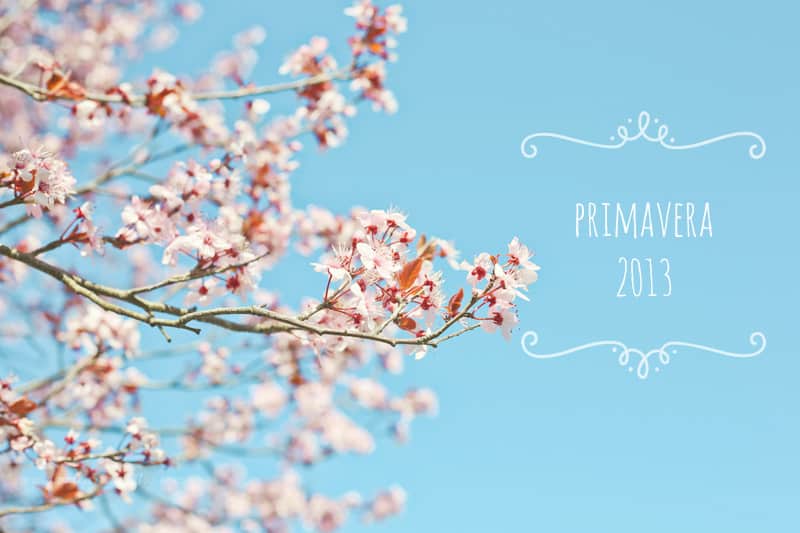 spring blossoms