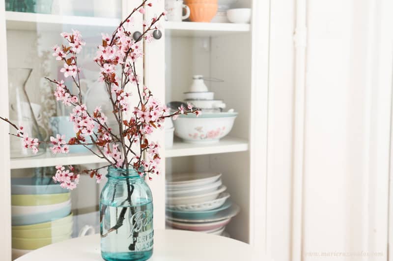 spring blossoms